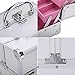 Mini Makeup Train Case with Mirror Portable Aluminum Cosmetic Organizer Box 2 Trays Pink