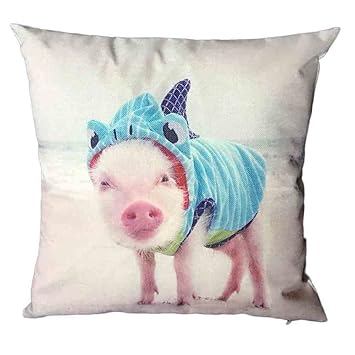 Amazon Com Ilugu Funny Flying Pig Printing Pillow Case