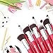 Qivange Makeup Brush Set, Vegan Bronzer Foundation Eyeshadow Kabuki Brushes for Flawless Look(10pcs, Rose Red with Silver)