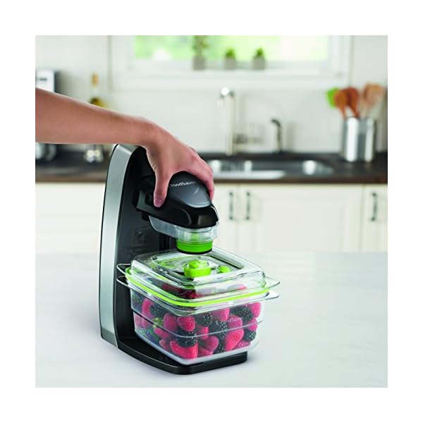 FoodSaver-Space-Saver-Fresh-Appliance-System-for-Zipper-Bags-Fresh-Containers