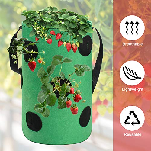 Strawberry Grow Bags 3 Gallon, Luxiv Strawberry Planting Bags with 12 Grow Pouches Plant Growing