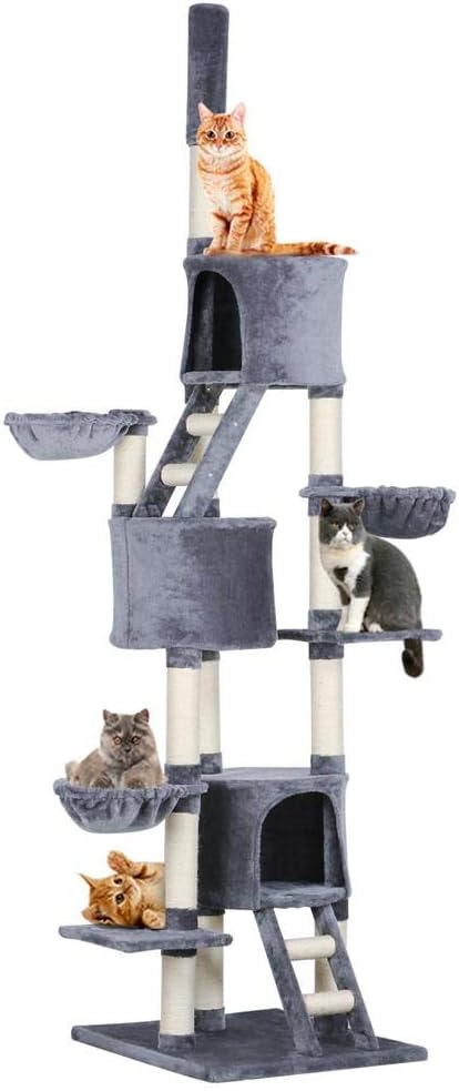 Which Is The Best Dollar Tree West Bend