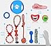 Nolsen Dog Toys Gift Set 10 Pack Puppy Chew Rope Squeak Toy for Medium to Small Doggie