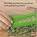 OXO Good Grips Herb & Kale Stripping Comb