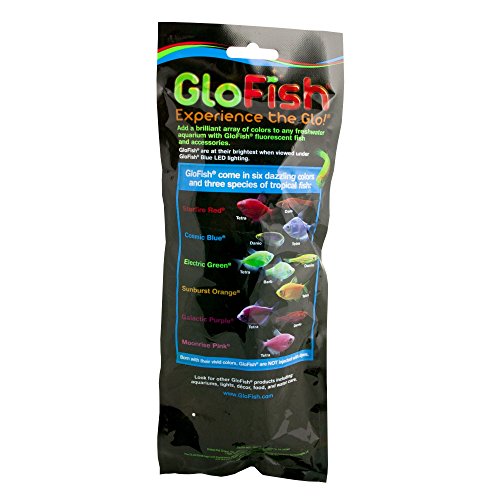 GloFish Large Fluorescent Plant for Aquarium Decoration, Blue Pricepulse