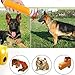 Pet Training Device Anti Barking Stop-Barking Ultrasonic Dog Repeller