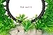 FEDOUR Aquarium Artificial Plastic Plants Decor, Interesting Plant for Fish Tank, Can Interact with Fish, with 6Pcs Small Plants（Round）thumb 3