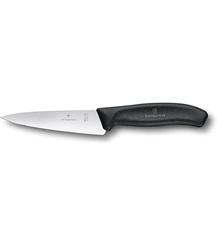Amazon.com: Victorinox Swiss Classic 4-1/2-Inch Steak/Utility