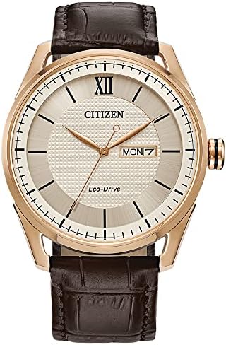 Amazon.com: Citizen Ladies' Eco-Drive Classic Leather Strap Watch