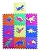 Dinosaur Zoo Educational Foam Puzzle Floor Mat for Kids + 10 Piece 12x12 Squares Blocks