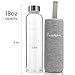 Bonison Borosilicate Glass Water Bottle with Colorful Nylon Sleeve (18 Oz) (Grey)