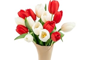 Stargazer Barn - 15 Stem Holiday Tulips (Vase Not Included) - Fresh Flowers for Delivery - Gift for Anniversary, Birthday, Congratulations, Get Well, Graduation, Sympathy, Christmas