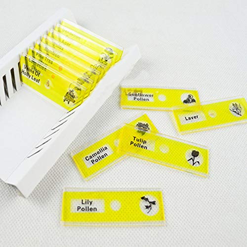 image for Yinpinxinmao 12Pcs DIY Specimen Microscope Slides Children Biology Sci
