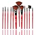 SHANY Professional 12 - Piece Natural Goat and Badger Cosmetic Brush Set with Pouch - Red