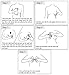 Silicone Adhesive Lift Bra, Invisible Backless Nipplecovers, Push Up Sticky Bra, Premium Quality and Safe Material, User Friendly Design, Natural Look, Washable and Reusable Nude