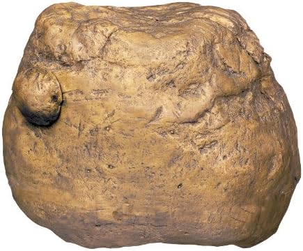 reptile cricket feeder