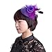 Navifoce Fashion Women's Flower Feather Mesh Net Fascinator Beaded Cocktail Headwear with Hair Clip and Brooch