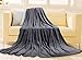 Balichun Luxury Fleece Blanket Super Soft Warm Lightweight Blankets Couch Throw, King(90