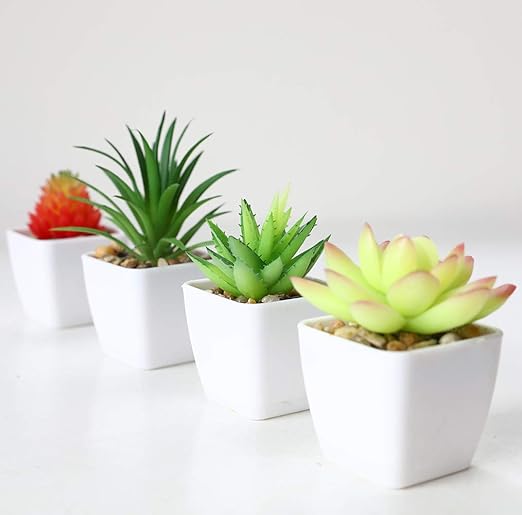Get Justoyou Artificial Plants Green Real Touch Succulent Plug Plants For Free Get Wallpaper Justoyou Artificial Plants Green Real Touch Succulent Plug Plants For iPhone
