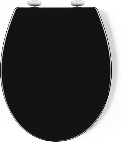 Pipishell Soft Close Toilet Seat with Quick Release, O Shape, Black