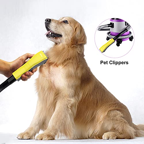 Petneces Wet and Dry Stick Vacuum Cleaner, 5.3 Gallon Handheld Hose Cat