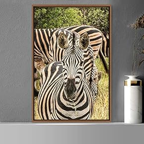 signwin Framed Canvas Wall Art Zebra Animals Dramatic...