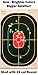 75 pack - 7x11 Oval Reactive Splatter Targets - GlowShot - Multi Color - See Your Hits Instantly - Gun, Rifle & Airsoft Targets