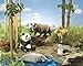 Learning Resources Jumbo Endangered Animals, Rhino, Manatee, Panda, Cheetah, and Albatross, Ages 2+