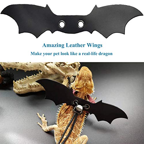 image for Lotyes Lizard Leash - Adjustable Bearded Dragon Leash and Harness - Pe