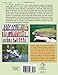 Effective Stillwater Fly Fishing: An Analytical Approach to Help You Catch More Fish