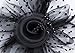 Czioe Flower Cocktail Tea Party Headwear Feather Fascinators Top Hat for Girls and Women (1-a-black)
