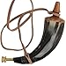 Colonial Civil War Repro Revolutionary Musket Rifle Gun Powder Brass Screw Horn