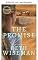 Livro A promessa
