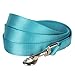 Blueberry Pet Essentials Turquoise Dog Leash for Large - 4' * 1