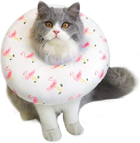 Amazon Com Petseek Cat Cone Adjustable Recovery Collar Soft After Surgery For Cats Wound Healing Protective E Collar Elizabethan Collars Pet Supplies