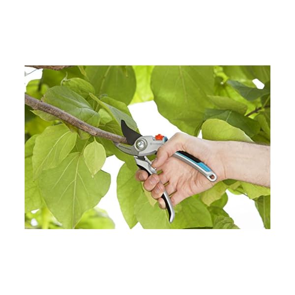 Gardena Astschere TeleCut 650-900 B: Teleskopierbare Bypass-Baumschere & Gartenschere Alu B/L: Pflanzenschonende… – Bild 8