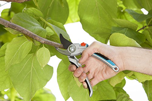 Gardena Astschere TeleCut 650-900 B: Teleskopierbare Bypass-Baumschere & Gartenschere Alu B/L: Pflanzenschonende… – Bild 8
