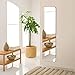 Ecentaur Frameless Door Mirrors Wall Mirror Full Length Body Mirror for Wall Mounted Bedroom Closet Wardrobe Long Size Mirror