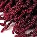 3 Packs Short Curly Spring Pre-twisted Braids Synthetic Crochet Hair Extensions 10 inch 15 strands/pack Ombre Crochet Twist Braids Fiber Fluffy Curly Twist Braiding Hair Bulk (pack of 3), T1B/BUG#