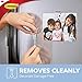 Command Clear Fridge Clips, 4-Pack, 24 Clips Total, Decorate Damage-Free