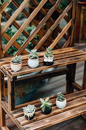 5 T4U+Ceramic+Flowing+succulent+Container