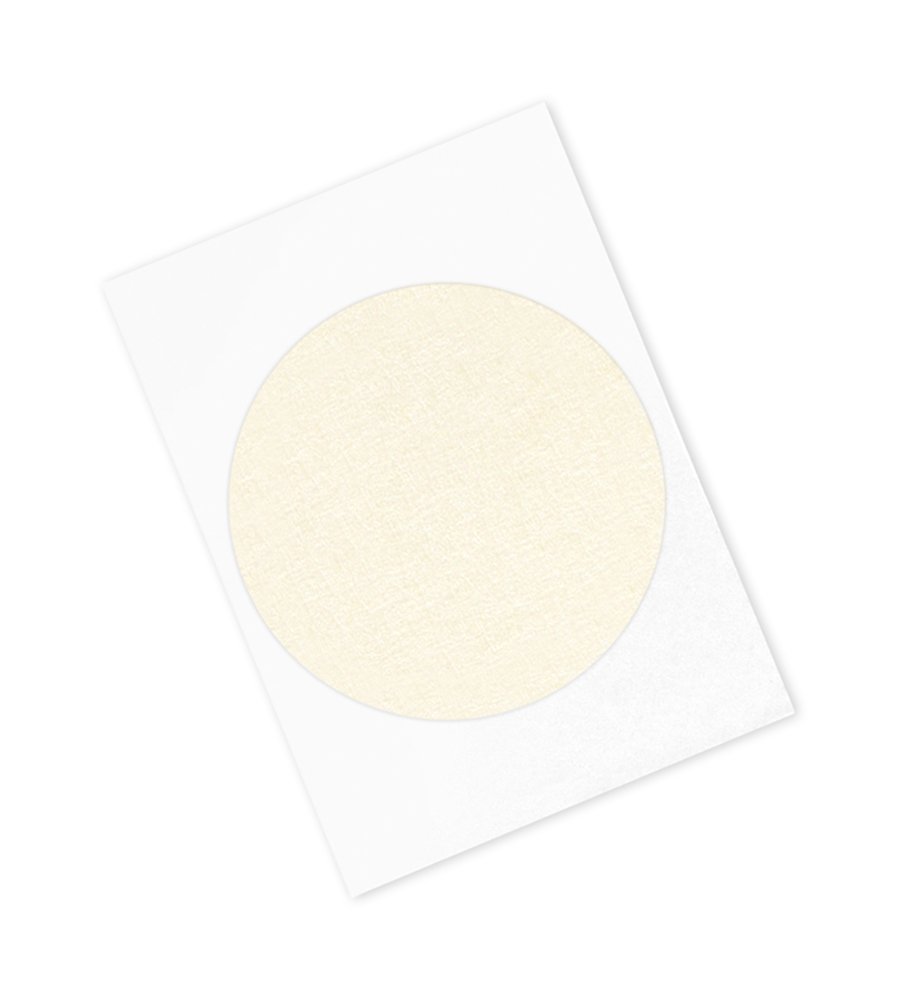 TapeCase HD2380-6.000"-250 Performance Masking Tape Converted from 3M 2380, 6" Circles, Crepe Paper, Tan (Pack of 250)