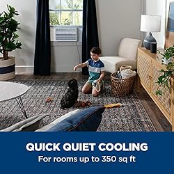 GE Window Air Conditioner 8000 BTU, Wi-Fi