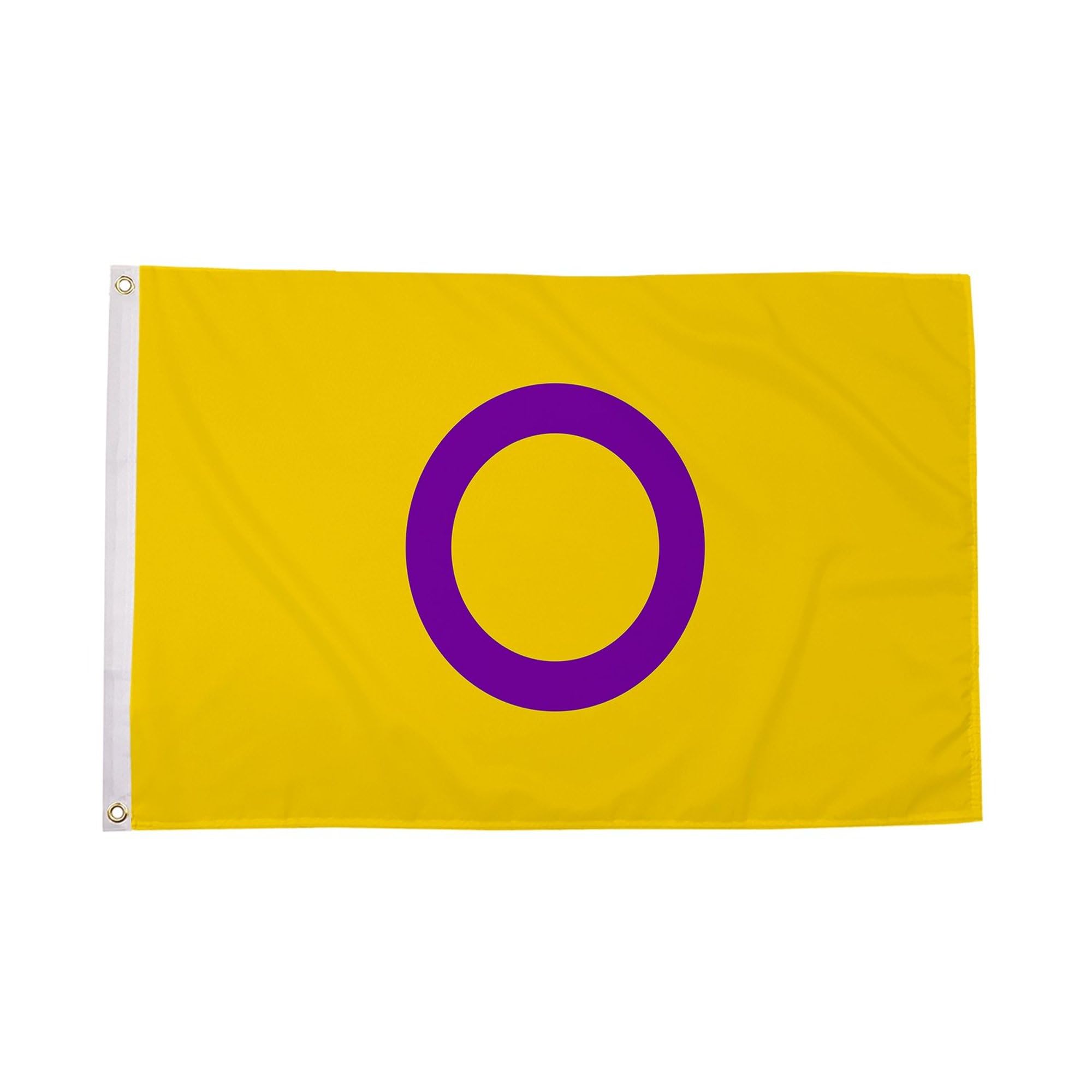 Flagtex Intersex Yellow Purple Large Pride Flag 8ft x 5ft LGBTQ Pride Flag Yellow Purple Circle Fade Resistant Polyester Double Stitched Reinforced 240cm x 150cm Outdoor Banner Display