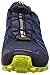 Salomon Men's Speedcross 4 GTX Trail Running Shoes, Slateblue/Blue, 11 M
