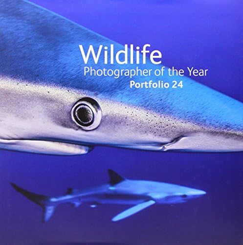 Wildlife Photographer of the Year: Portfolio 24