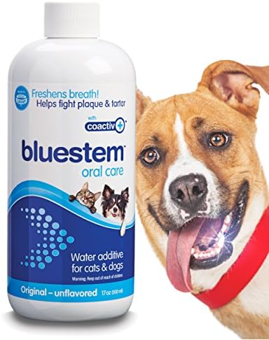 bluestem dog teeth cleaner