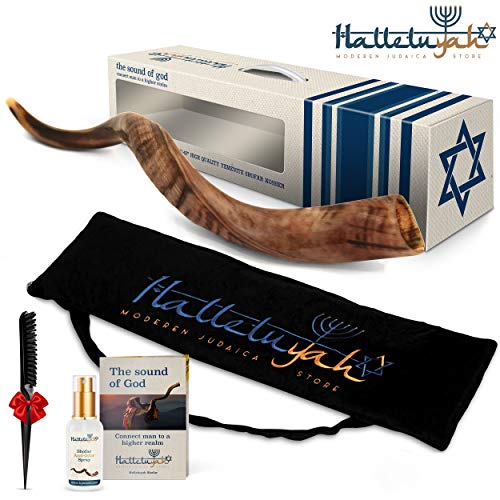 Top 10 Shofars From Israel of 2020 No Place Called Home