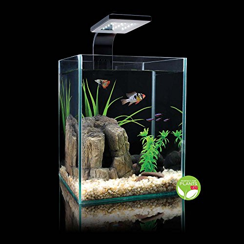Cobalt Aquatics 14012 Microvue3 30 Aquarium Kit