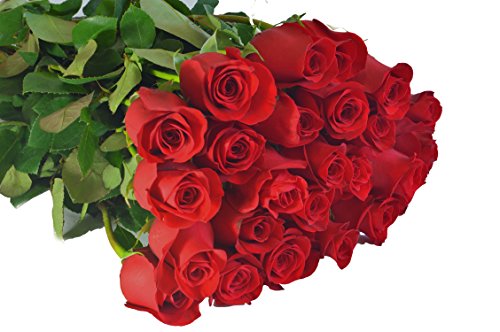 Farm2Door Valentine's Day Collection: 24 Fresh Red Roses (Long Stemmed - 50cm) from Colombia - Farm Direct Wholesale Fresh Flowers